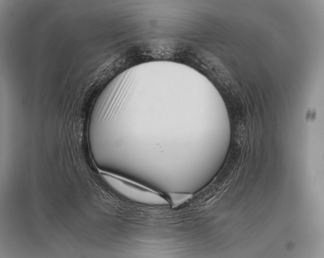 X0000096980697200802291146