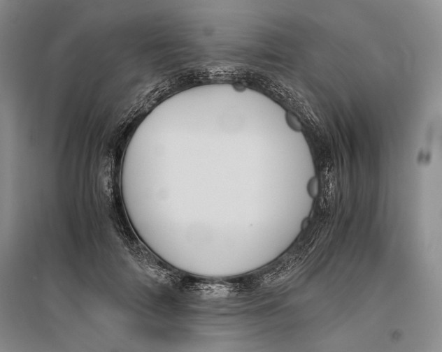 X0000096980698200802291146