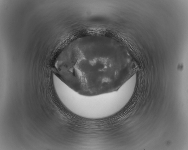 X0000096980699200802291146