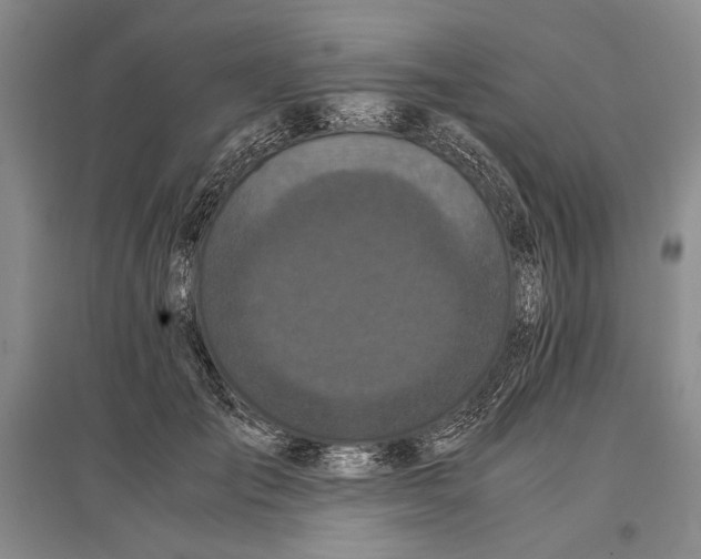 X0000096980701200802291146