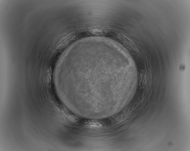 X0000096980702200802291146