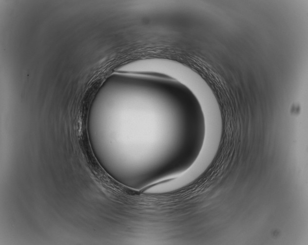 X0000096980703200802291146