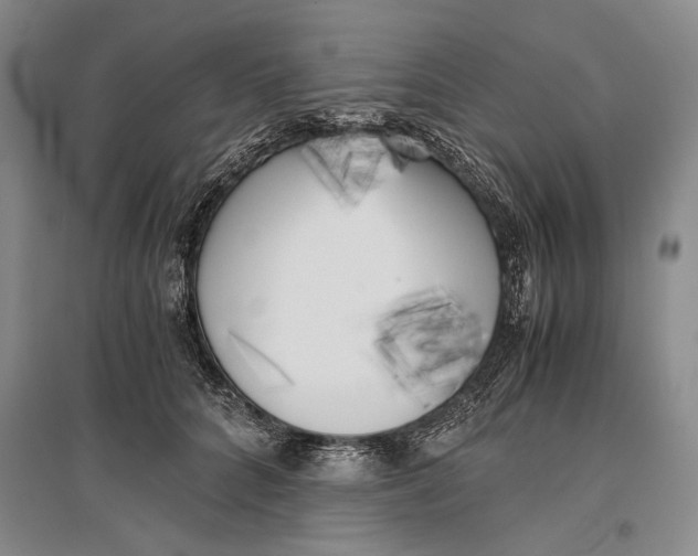 X0000096980704200802291146