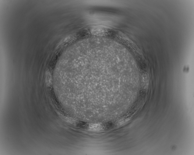 X0000096980705200802291146