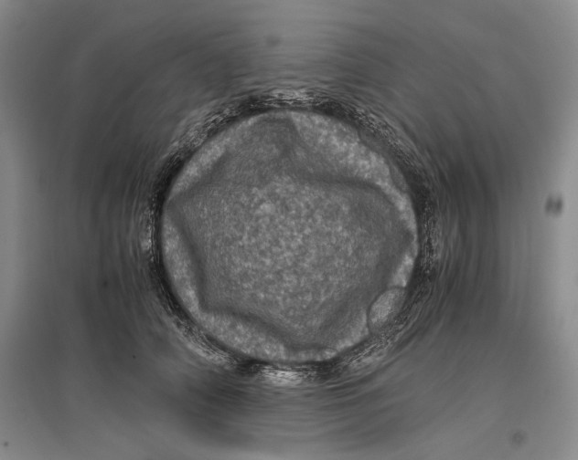 X0000096980706200802291146