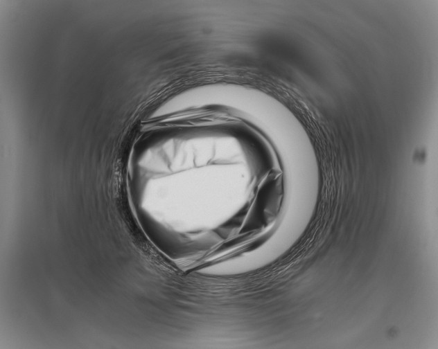 X0000096980707200802291146