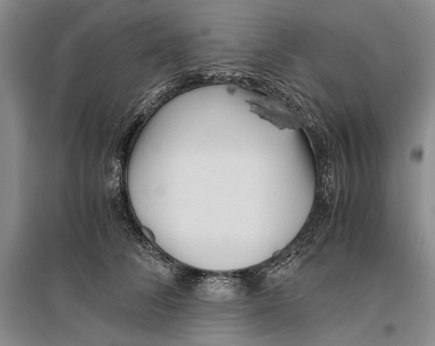 X0000096980708200802291146