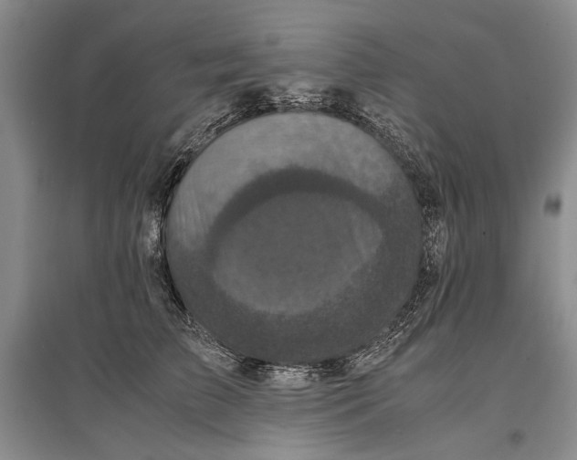 X0000096980709200802291146