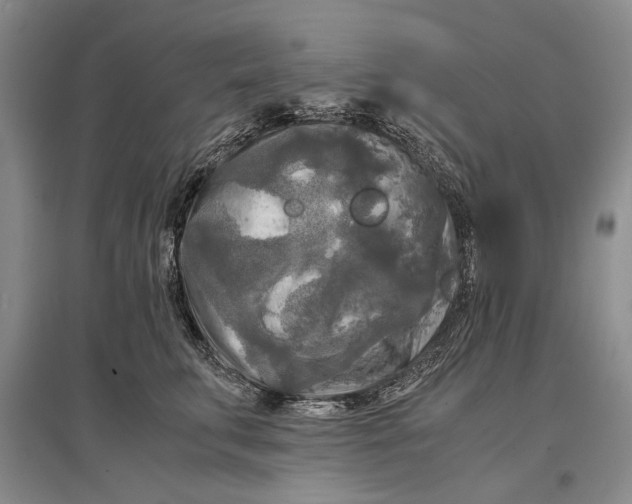 X0000096980711200802291146