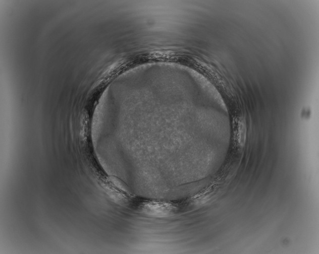 X0000096980712200802291146