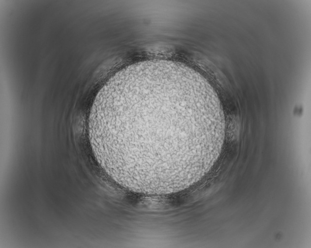 X0000096980713200802291146