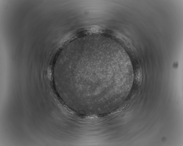 X0000096980715200802291146