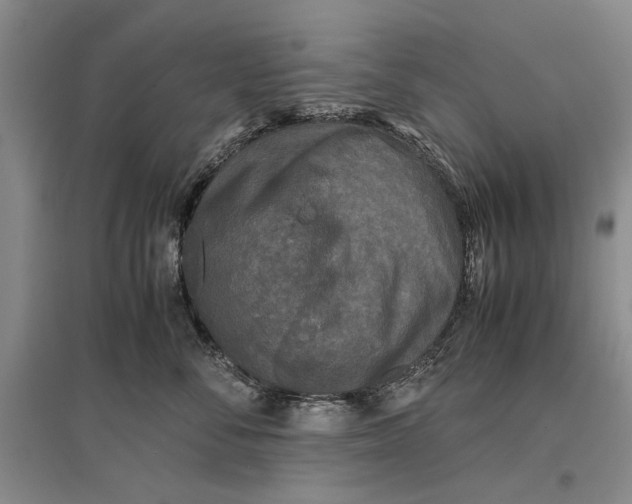 X0000096980716200802291146