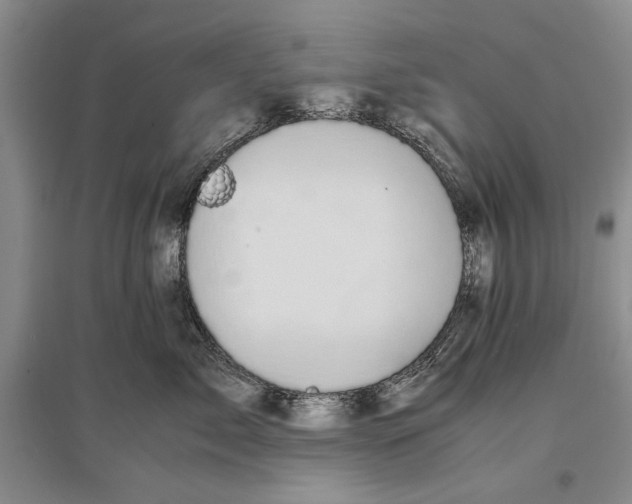 X0000096980717200802291146