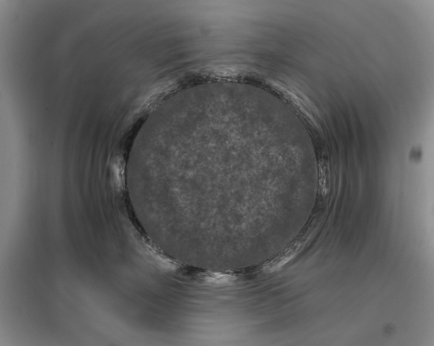 X0000096980718200802291146