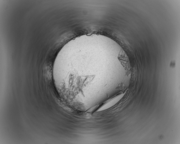 X0000096980719200802291146