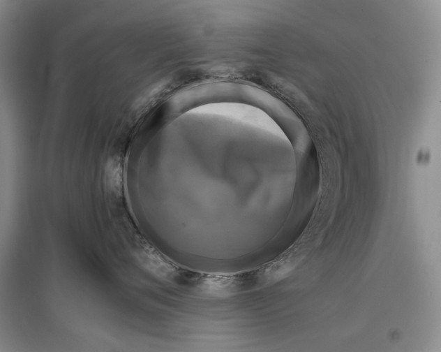 X0000096980720200802291146