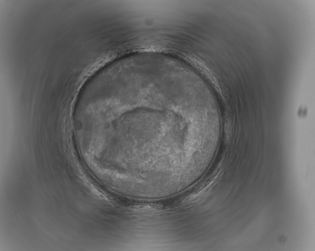 X0000096980721200802291145