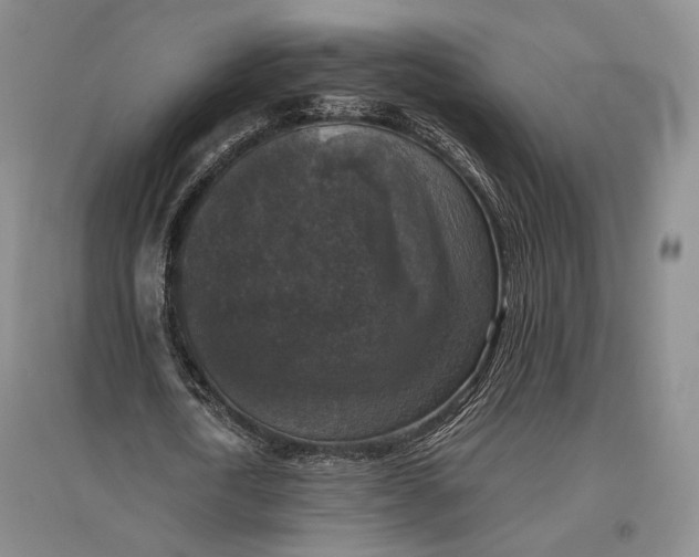 X0000096980722200802291145