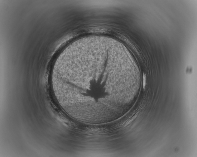 X0000096980723200802291145