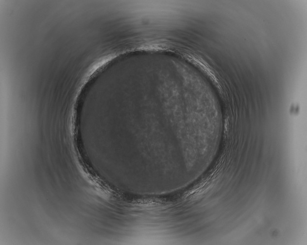 X0000096980724200802291145