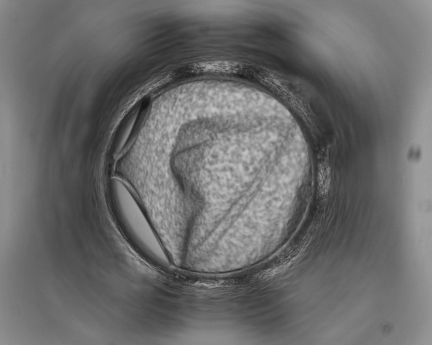 X0000096980725200802291145