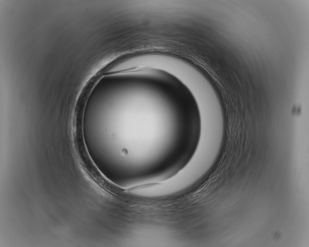 X0000096980726200802291145