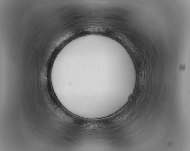 X0000096980727200802291145