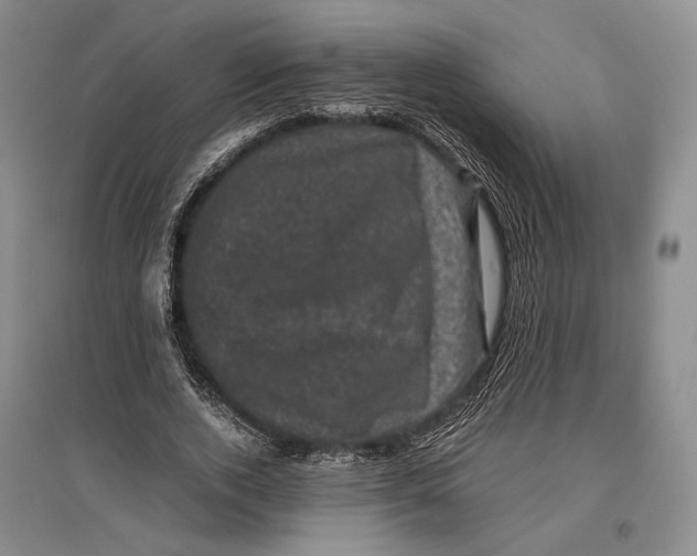 X0000096980728200802291145