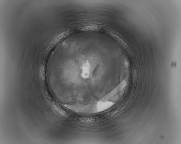 X0000096980729200802291145