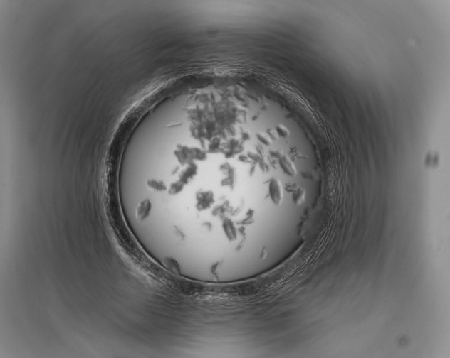 X0000096980730200802291145