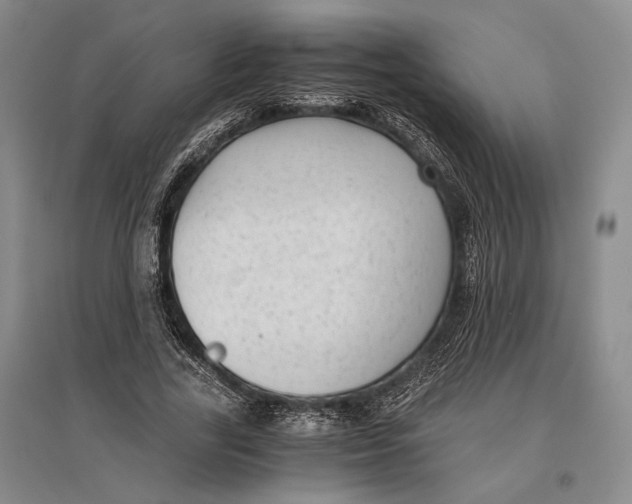 X0000096980731200802291145