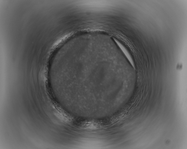 X0000096980732200802291145