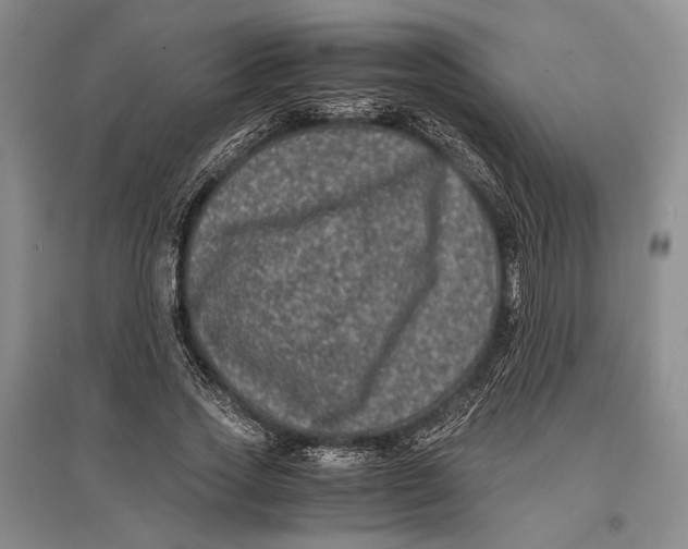 X0000096980733200802291145