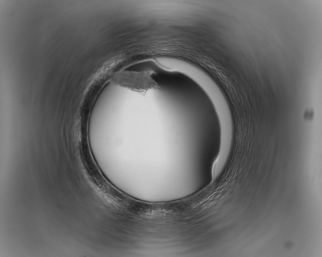 X0000096980734200802291145