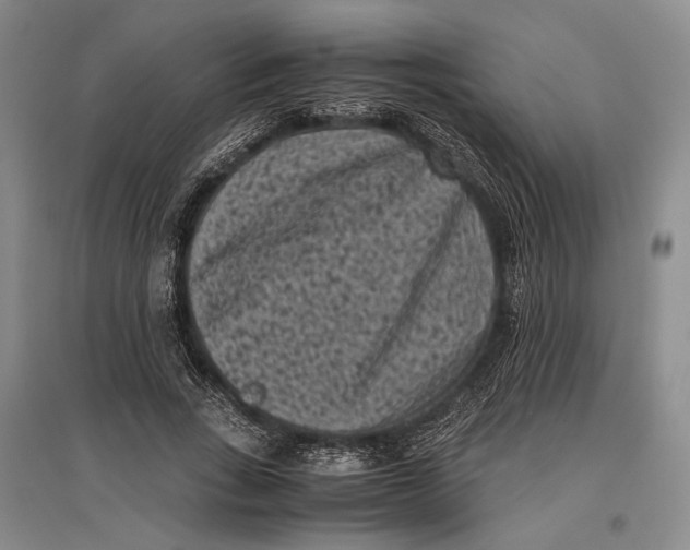 X0000096980735200802291145