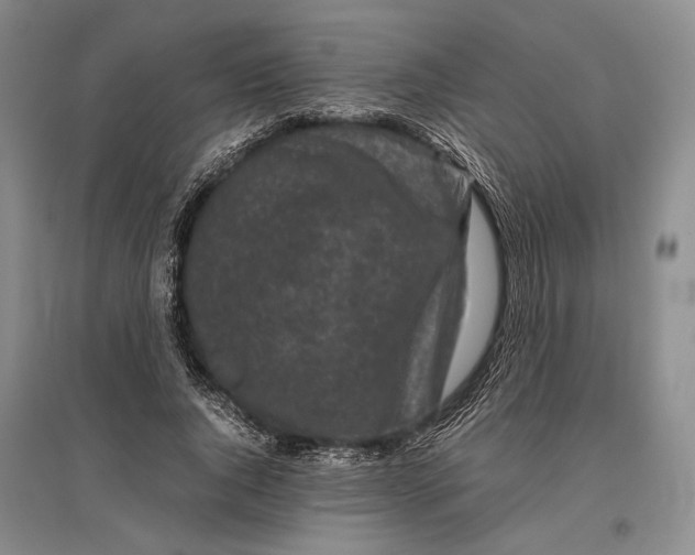 X0000096980736200802291145