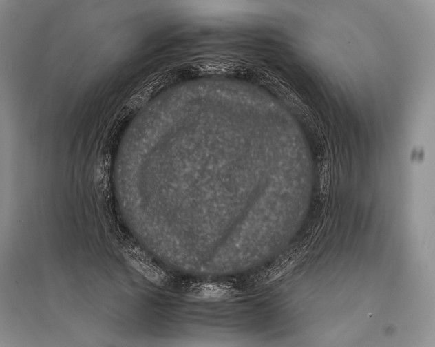 X0000096980737200802291145