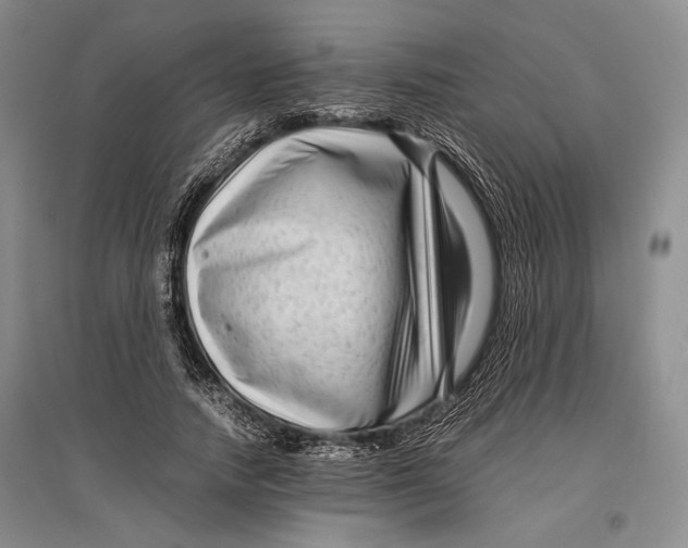 X0000096980738200802291145