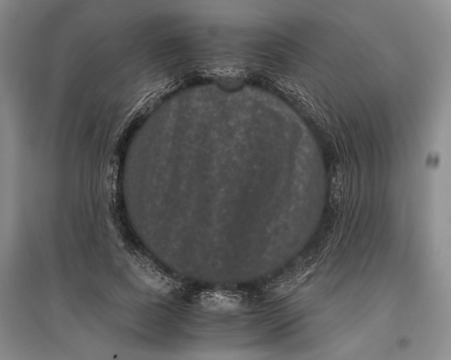 X0000096980739200802291145