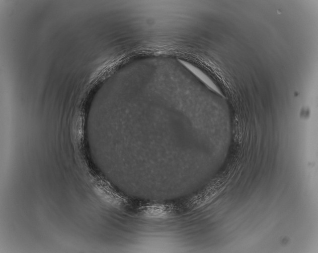 X0000096980740200802291145