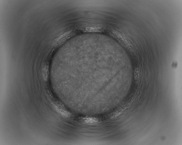 X0000096980741200802291145