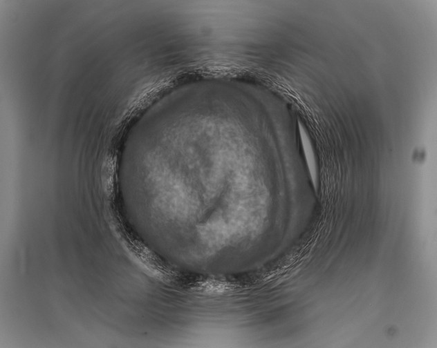 X0000096980742200802291145