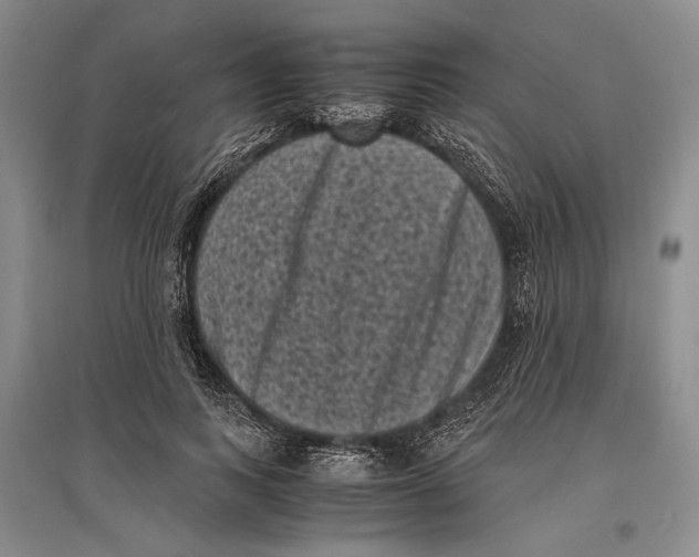 X0000096980743200802291145