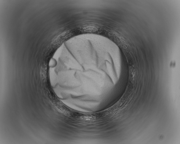 X0000096980745200802291145