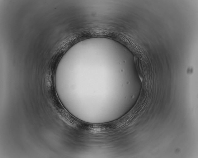 X0000096980746200802291145