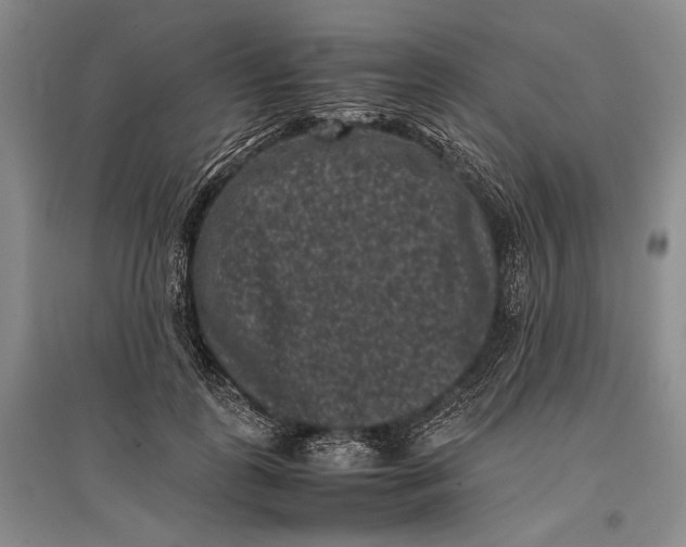 X0000096980747200802291145