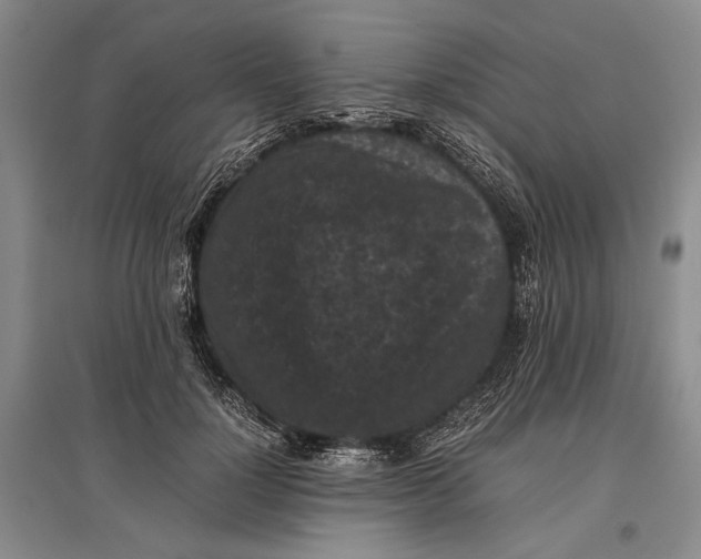 X0000096980748200802291145