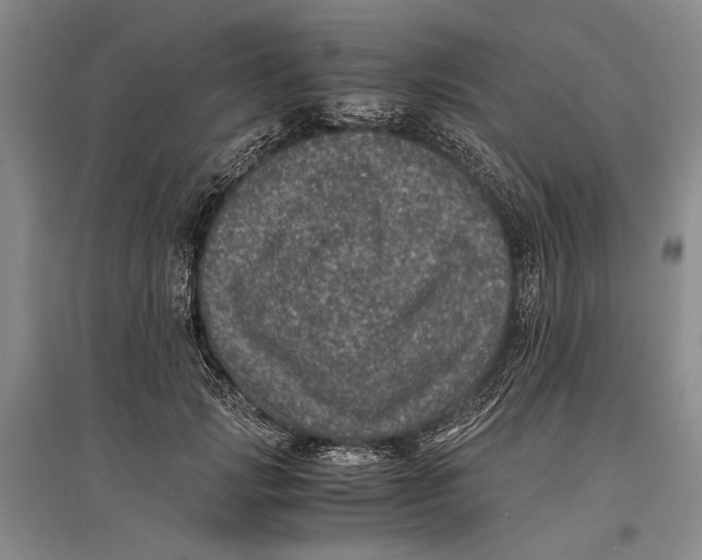 X0000096980749200802291145