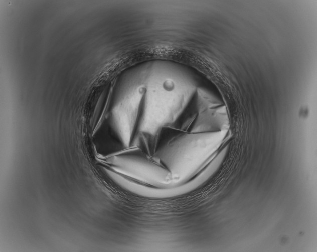 X0000096980750200802291145